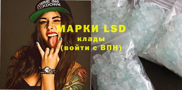 ПСИЛОЦИБИНОВЫЕ ГРИБЫ Баксан